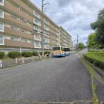 バス停付近の道路