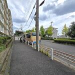 バス停付近の道路