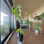 リビング リビング