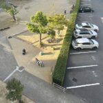敷地内公園